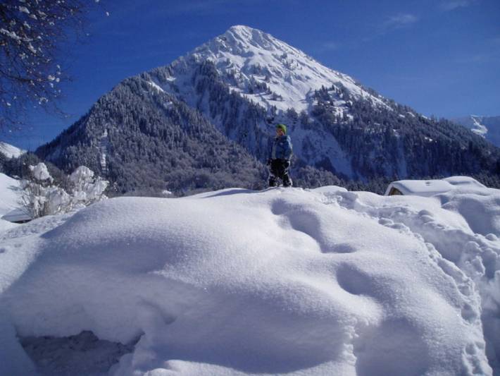 Ganze Wohnung, Kohler Renate - Wohnung 2 in Bregenzerwald (Vorarlberg), Schoppernau