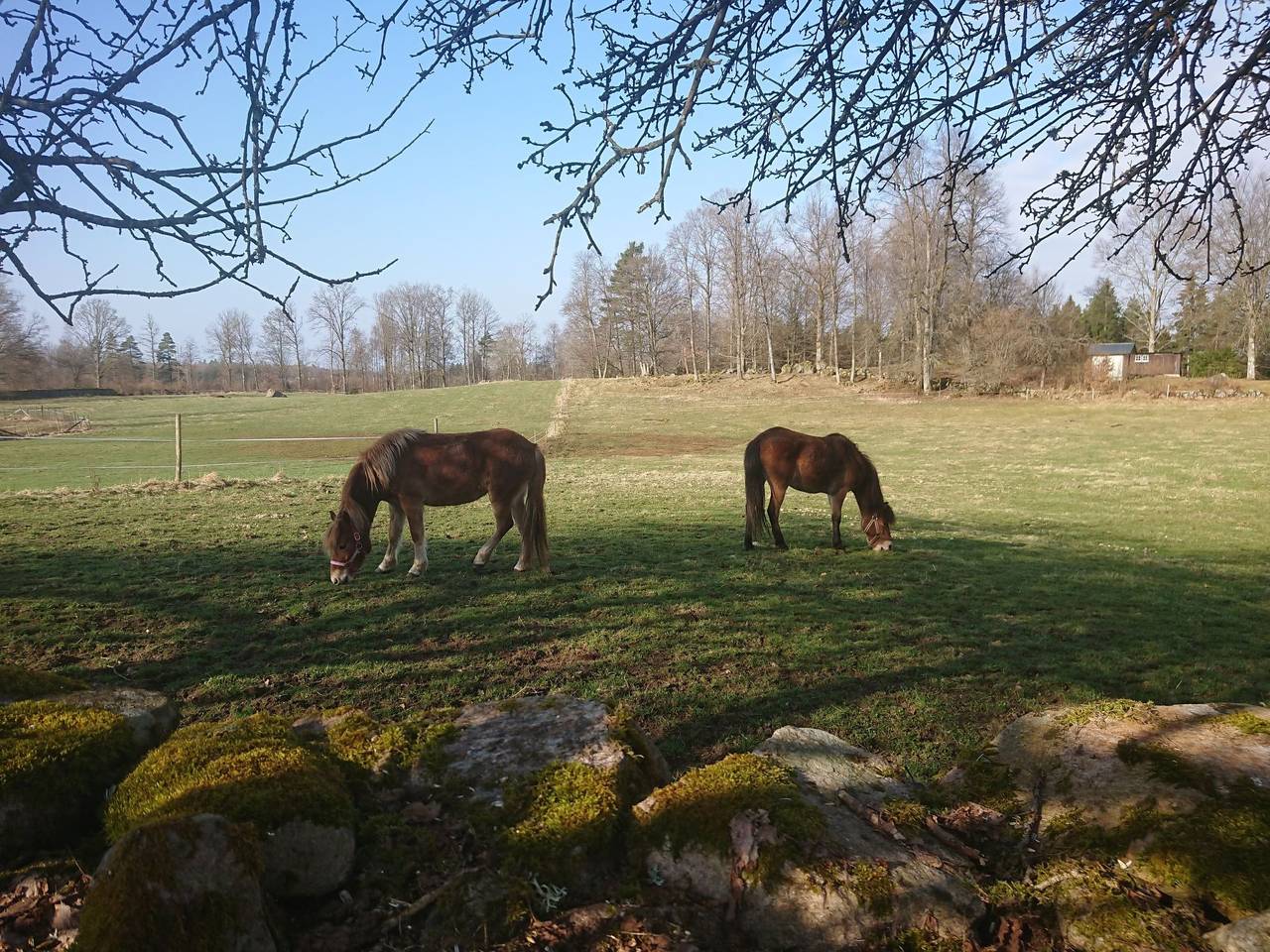 Gemütliches Cottage mit Whirlpool in Kalvshult, Kronoberg
