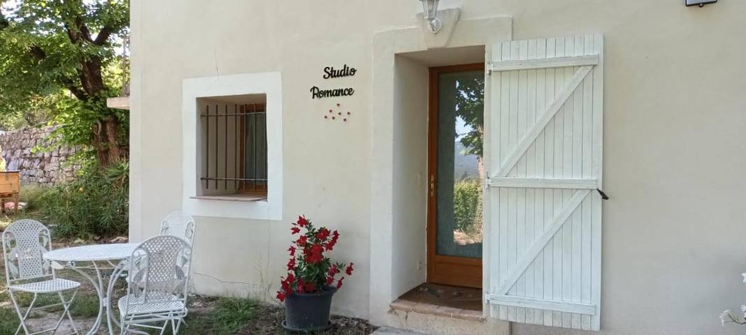 Gîte pour 2 personnes, avec piscine ainsi que jardin et jacuzzi, animaux acceptés à Carnoules - 3