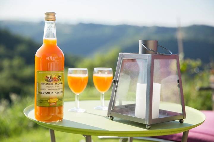 Location de vacances pour 2 personnes, avec Terrasse ainsi que Jardin et Sauna à Saint-Barthélemy-de-Vals - 3