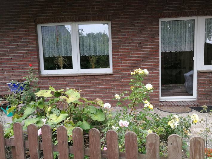 Ferienhaus für 5 Personen, mit Garten und Terrasse, mit Haustier in Wangerland - 2