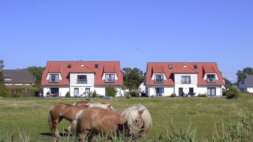 Ferienhaus für 4 Personen, mit Terrasse auf Hiddensee