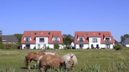 Ferienhaus für 4 Personen, mit Terrasse auf Hiddensee