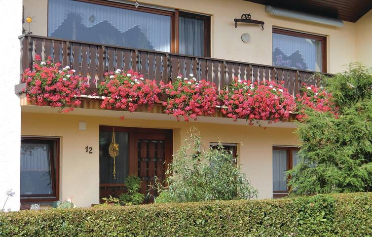 Ferienwohnung für 3 Personen, mit Terrasse in der Eifel - 3