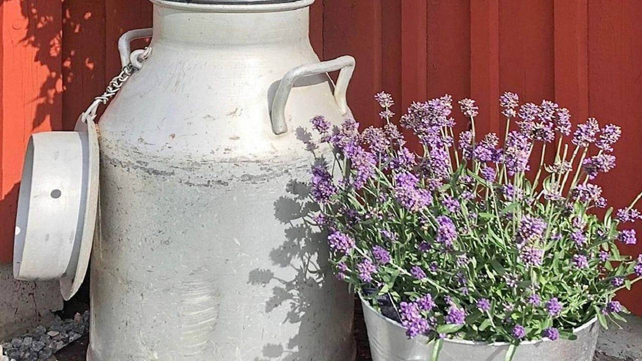 Ferienhaus für 3 Personen (50 m²) in Träslövsläge in Varberg, Halland