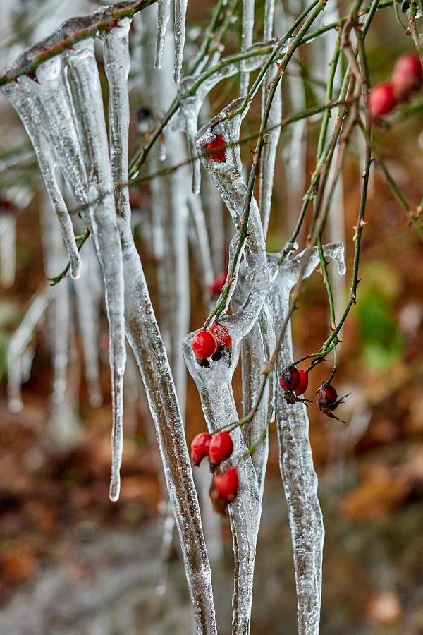 Location de vacances pour 6 personnes, avec jardin, animaux acceptés dans Nadrin - 3