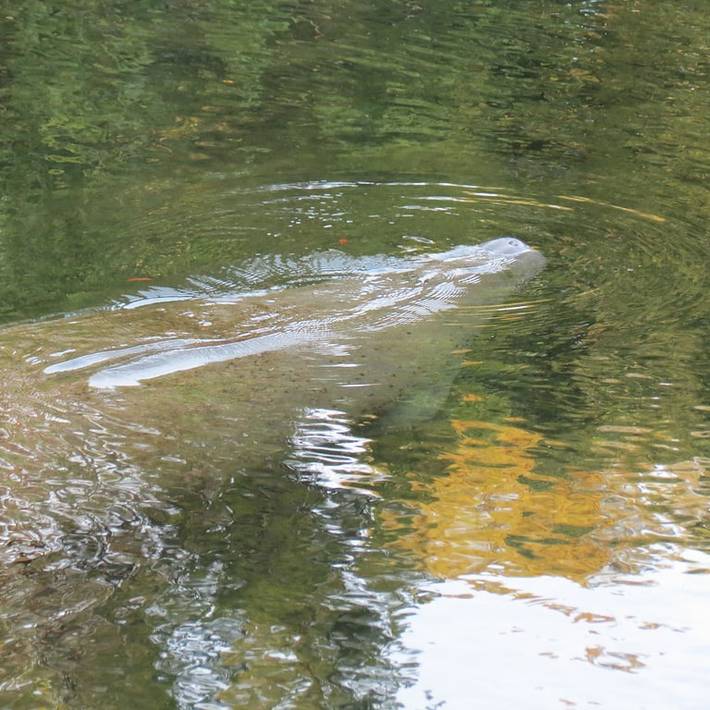 Vacation rental for 2 people, with yard and terrace in Pasco County