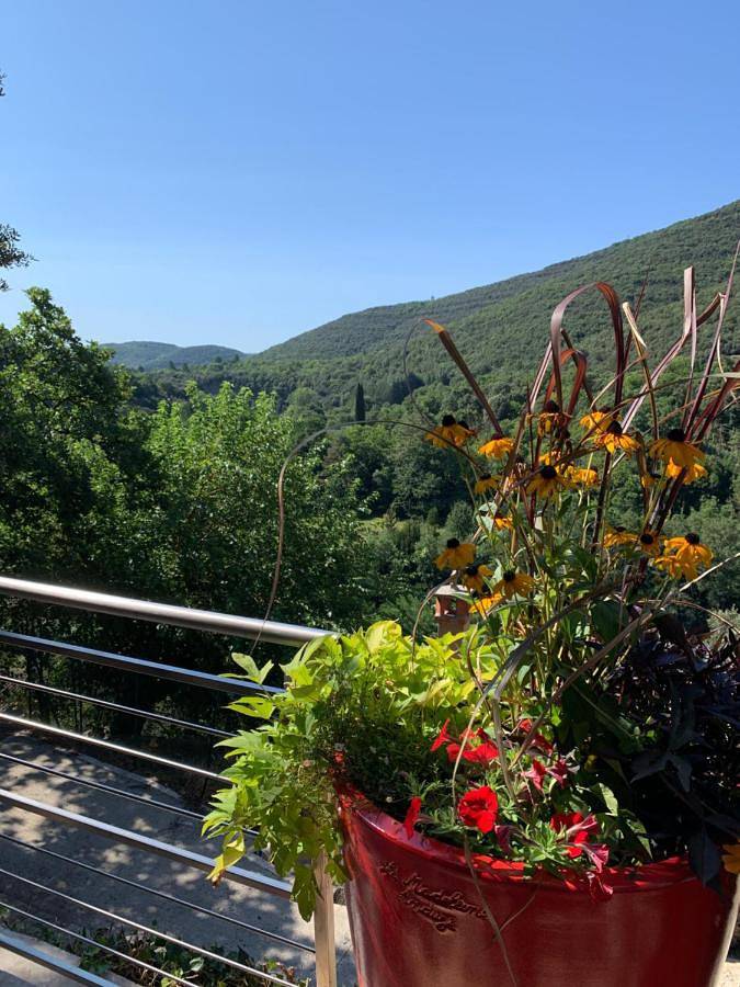 Gîte pour 7 personnes, avec jardin et vue, animaux acceptés à Mialet - 4