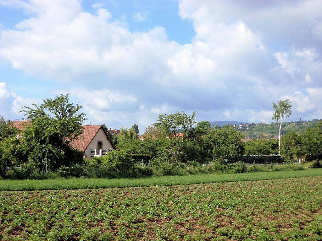 Le Petit Bischo in Bischoffsheim, Bas-Rhin Alsace