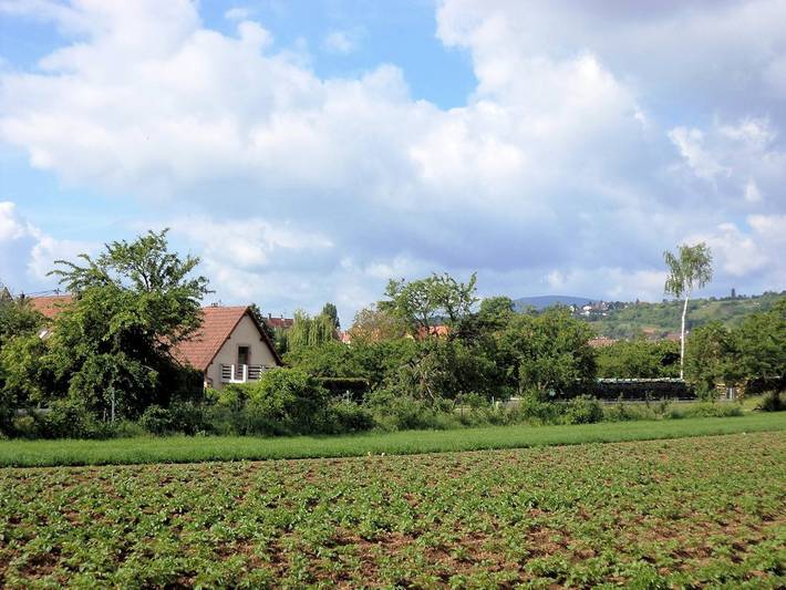 Gîte pour 4 personnes, avec jardin et terrasse en Alsace - 2