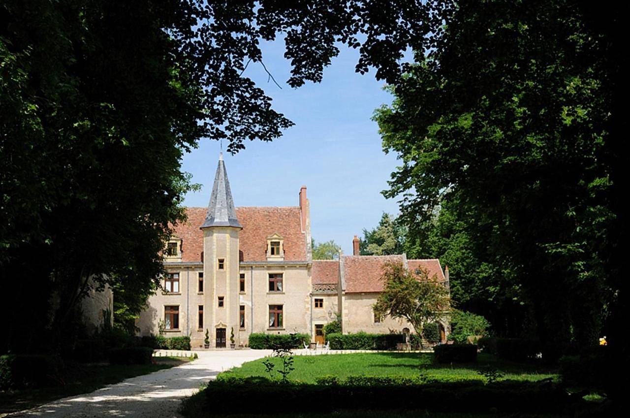 Château - Hôtel Le Sallay in Saincaize-Meauce, Nièvre