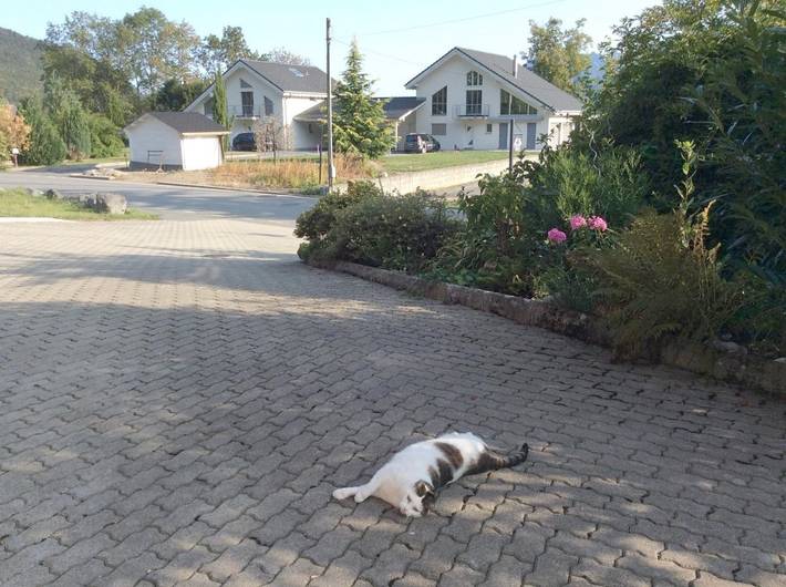 Location de vacances pour 2 personnes, avec vue et terrasse à Monthey - 4
