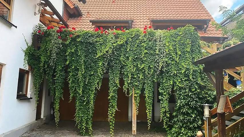 Bauernhof für 5 Personen in der Pfalz - 3