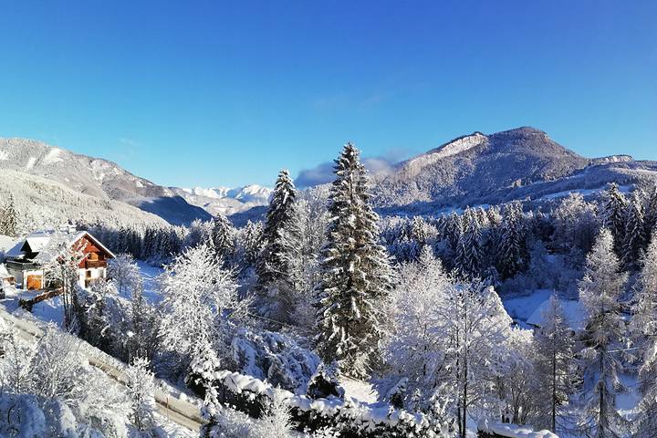 Ferienwohnung für 4 Personen, mit Balkon/Terrasse und Balkon sowie Sauna in Bad Goisern - 2