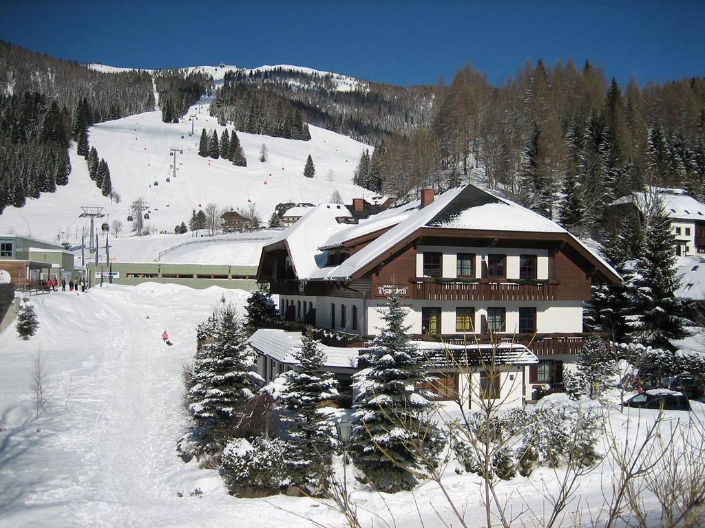 Ganze Ferienwohnung, Appartement Typ B 40 m² in Sankt Oswald (Bad Kleinkirchheim), Bad Kleinkirchheim