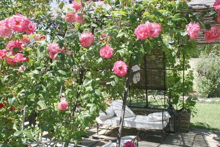 Maison d’hôte pour 2 personnes, avec terrasse et jardin à Vaison-la-Romaine - 4