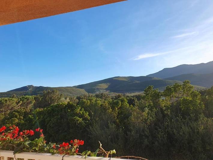 Location de vacances pour 6 personnes, avec jardin et vue, animaux acceptés à Pietracorbara - 2