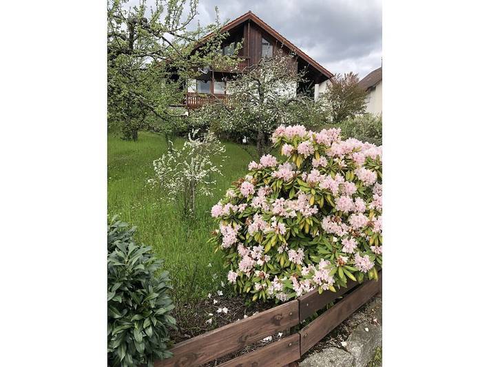 Ferienwohnung in Forbach mit Wifi in Bermersbach, Forbach