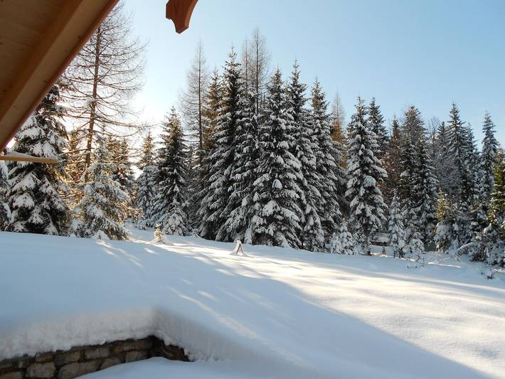 Ferienhaus für 6 Personen, mit Terrasse und Garten in Tirol - 4
