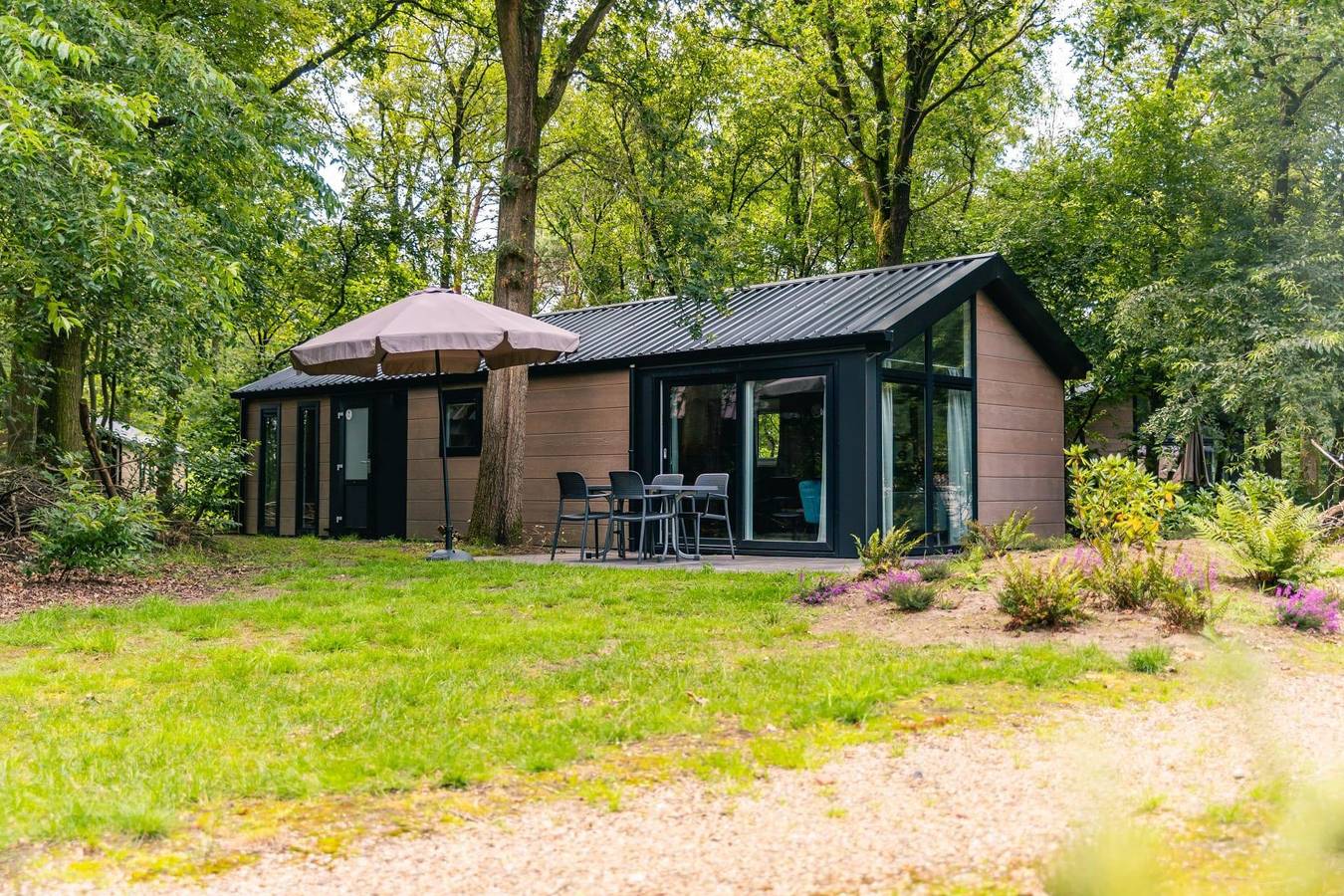 Europarcs Ruinen — Velthorst 4 in Ruinen, Parque Nacional de Dwingelderveld