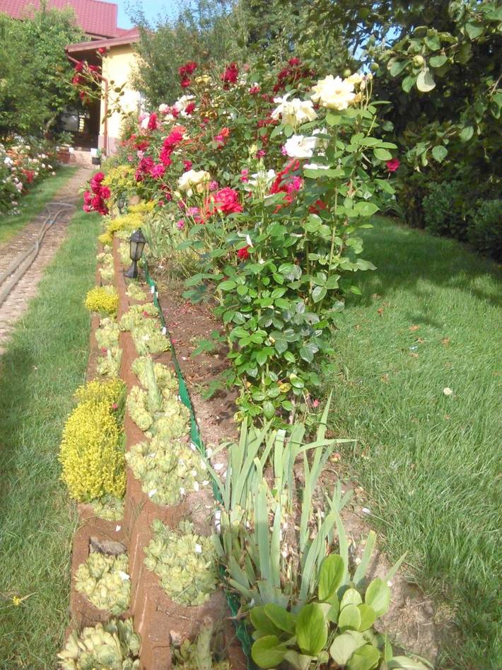 Gîte pour 2 personnes, avec terrasse et jardin dans Cluj-Napoca