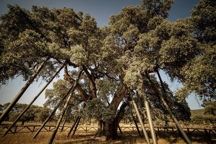 Casa de vacaciones para 10 personas, con piscina además de vistas y balcón en Sierra de Montánchez - 3
