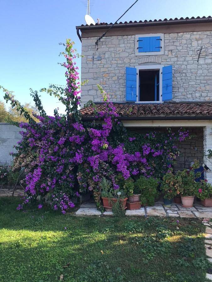 Chambre d’hôte pour 2 personnes, avec vue et jardin à Bale (Croatie) - 3