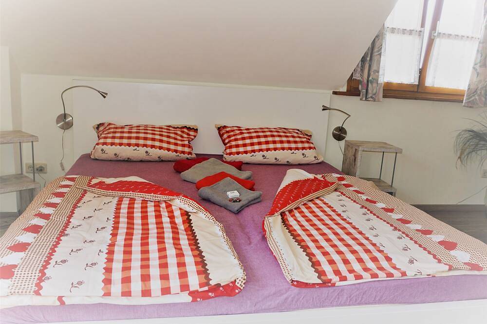 Double room Suisse - Into the fishing net in Meersburg, Obersee (Bodensee)