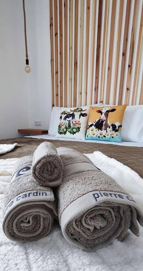 Apartamento de férias para 2 pessoas, com animais de estimação - 1