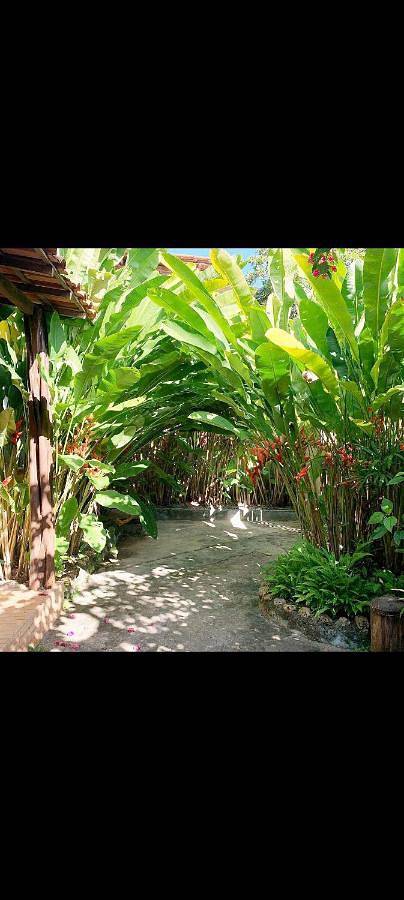 Gîte pour 2 personnes, avec jardin dans Ilha de Boipeba - 3