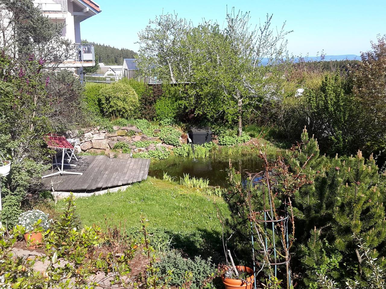 Ganze Wohnung, Ferienwohnung 'Sonnenblick' mit Bergblick, privater Terrasse und Wi-Fi in Eisenbach, Südschwarzwald