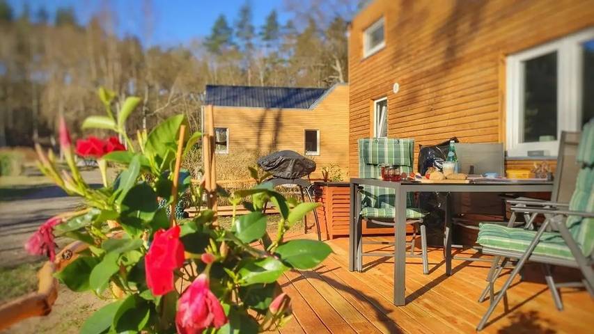 Ferienhaus für 3 Personen, mit Terrasse, mit Haustier in Stuer - 4