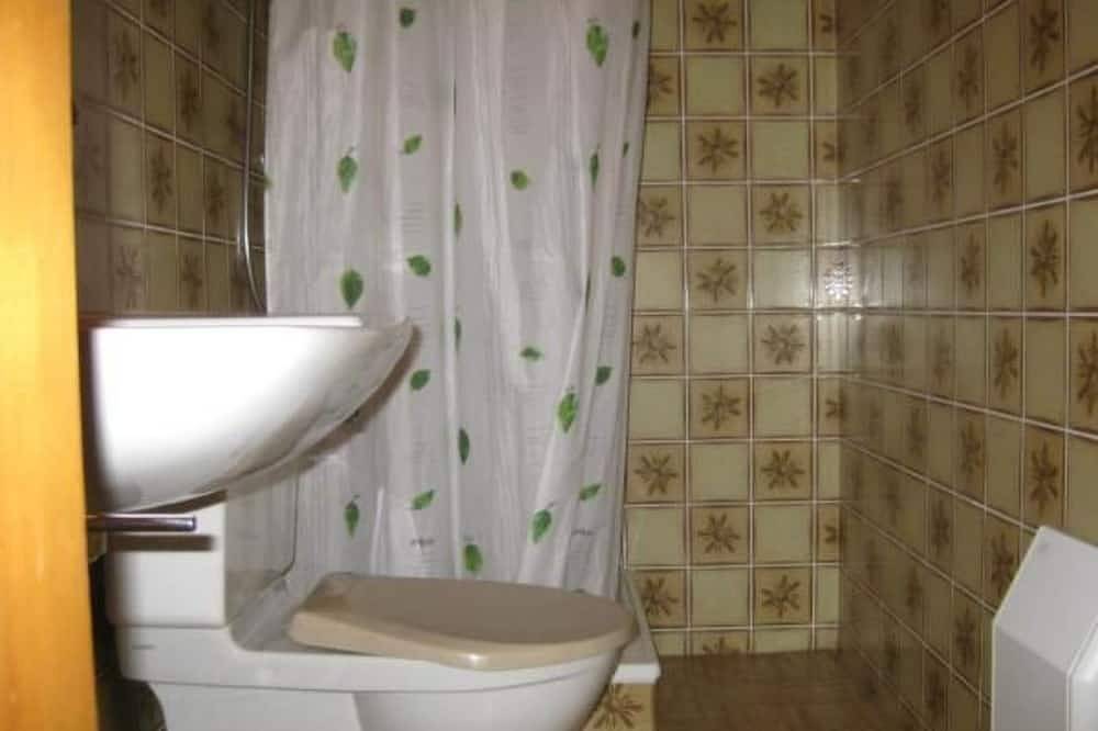 Ganze Wohnung, 3 1/2 Zimmer-Wohnung in Salouf, oberhalb Savogni in Surses, Oberhalbsteiner Alpen