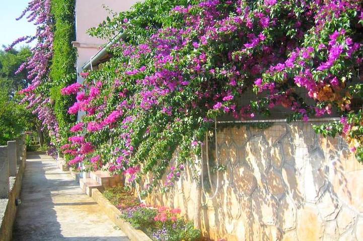Apartamento de vacaciones para 6 personas - 1