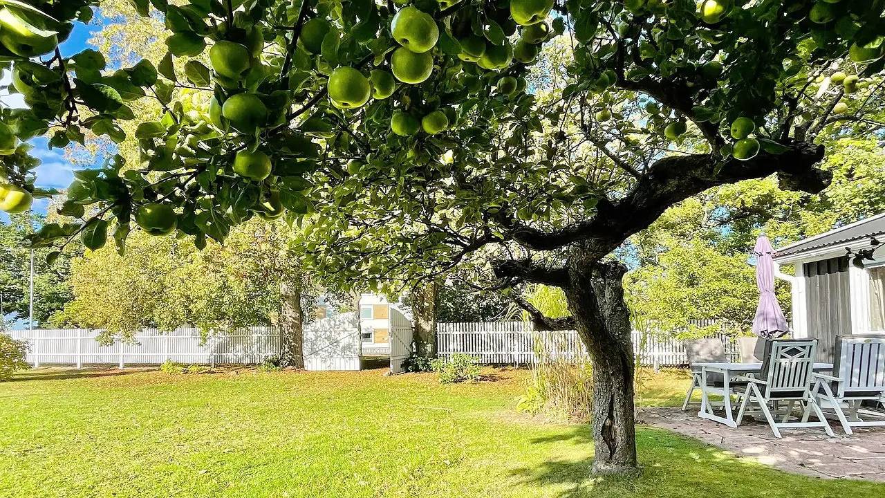 Ferienhaus für 4 Personen (35 m²) in Färjestaden in Färjestaden, Öland