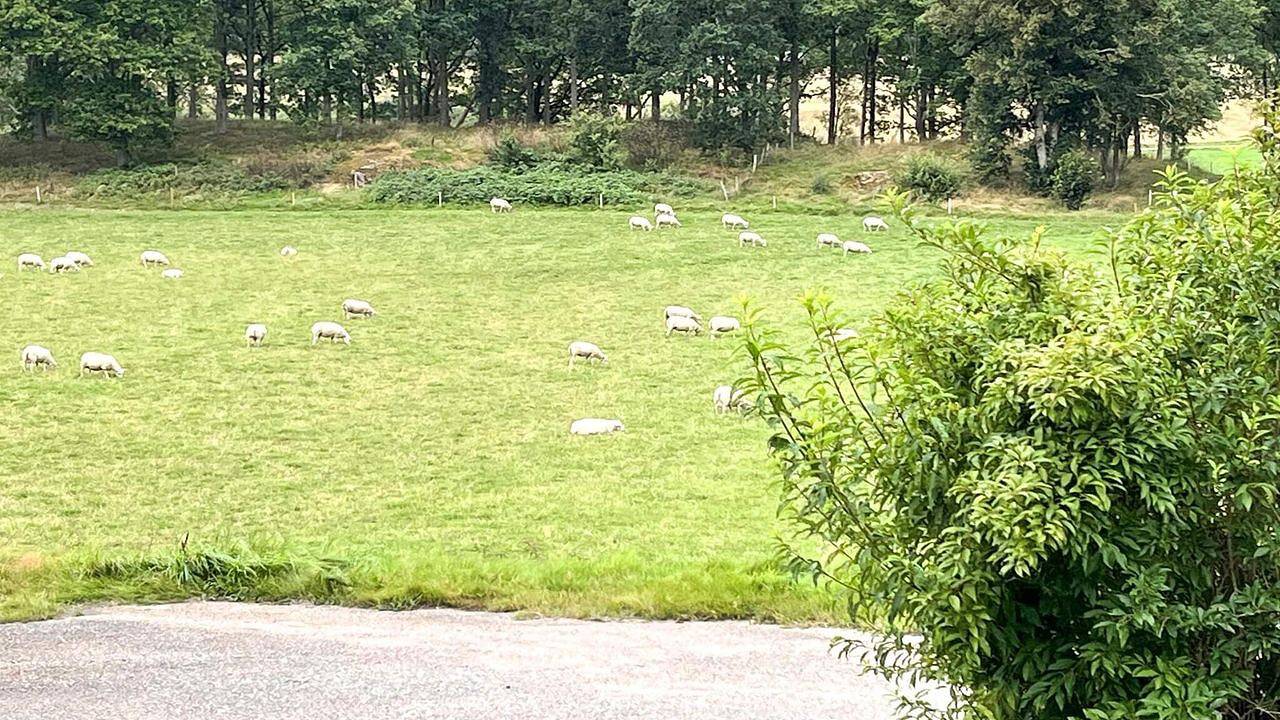 Ferienhaus für 4 Personen (40 m²) in Romelanda in Bohuslän