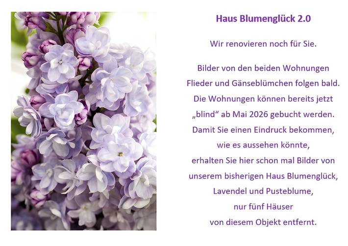 Ferienwohnung für 4 Personen, mit Garten in Herscheid - 3