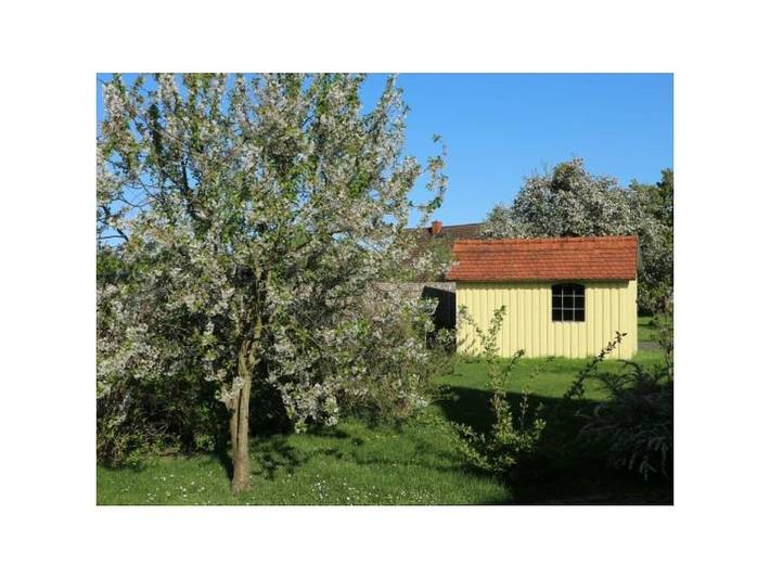 Ferienhaus in Ludorf mit Schwimmbecken in Ludorf, Müritz