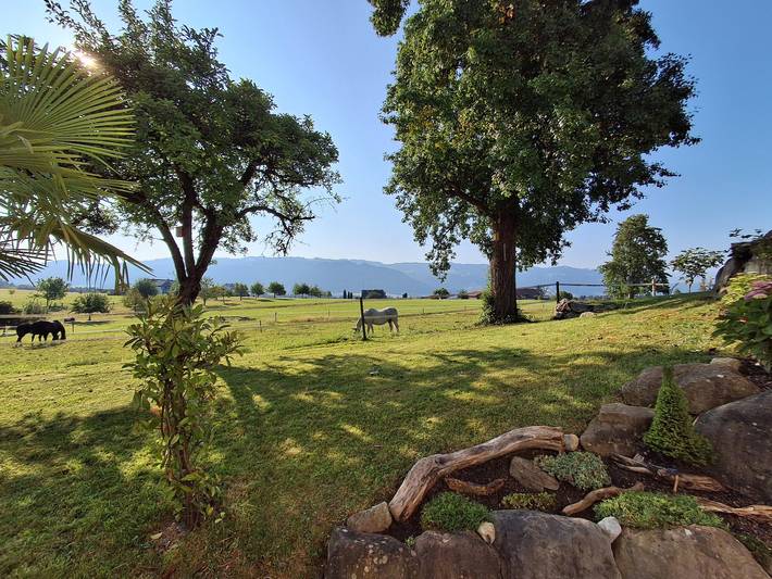 Appartement de vacances pour 2 personnes, avec jardin - 1