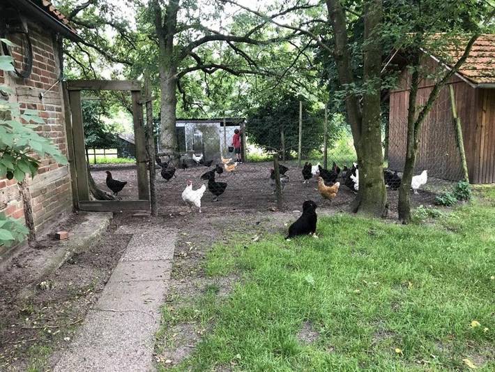 Ferienwohnung für 6 Personen in Ottersberg