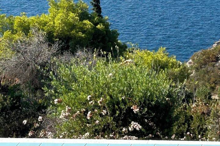 Ferienhaus für 18 Personen, mit Haustier