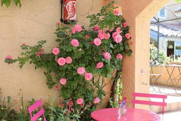 Location de vacances pour 16 personnes, avec terrasse et jardin à Saint-Jurs