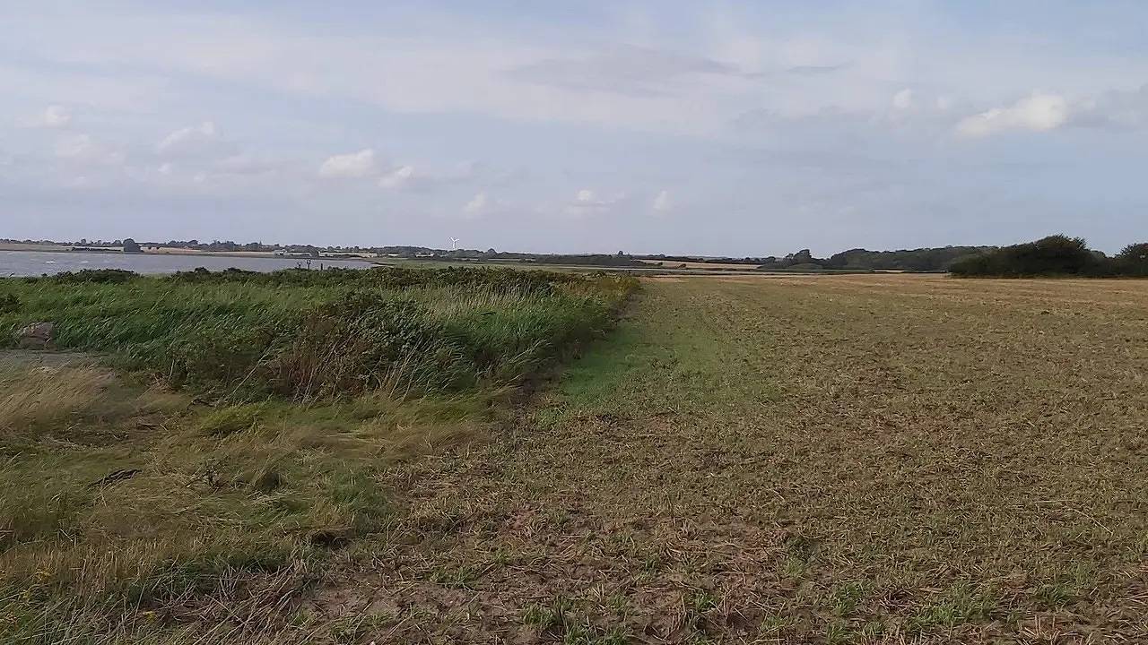 Ferienhaus für 6 Personen (66 m²) in Assens in Assens, Lillebælt