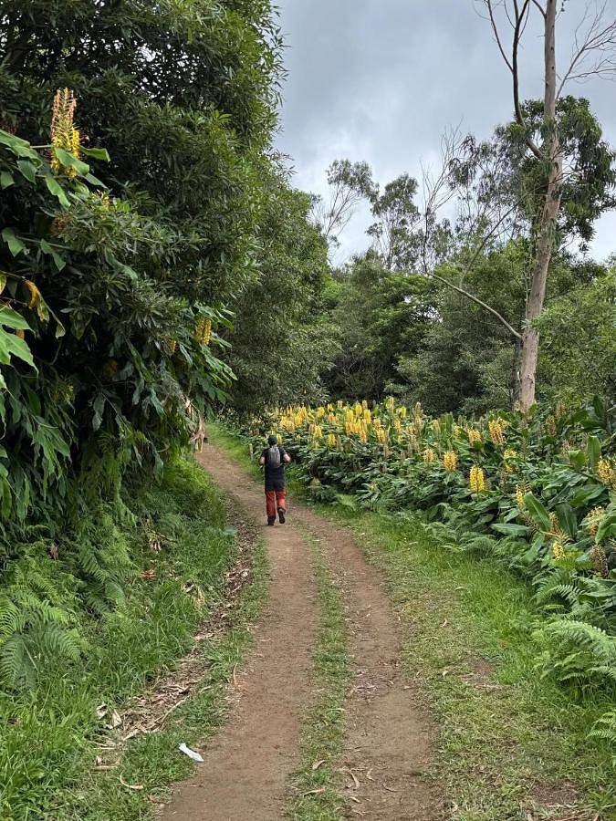 Apartamento de vacaciones para 4 personas, con piscina y jardín en Provincia de La Coruña - 3