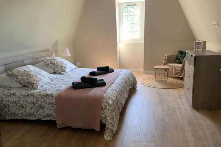 Gîte pour 4 personnes, animaux acceptés à Sauveterre-de-Béarn - 2