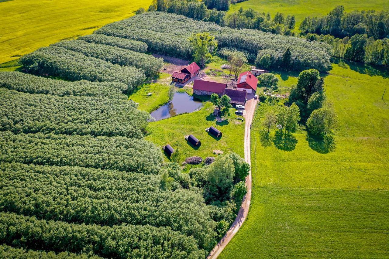 Agroturystyka Dzikie Stawy-Mazury in Mazury