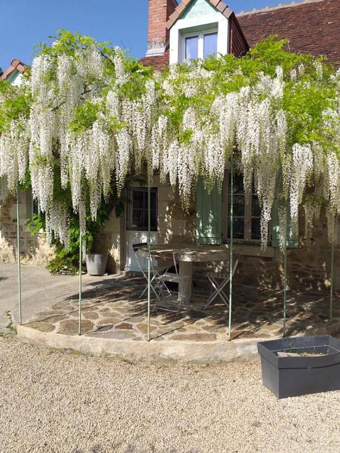 Chambres d'hôtes, " au coeur de la nature, et du calme" in Descartes, Région de Loches