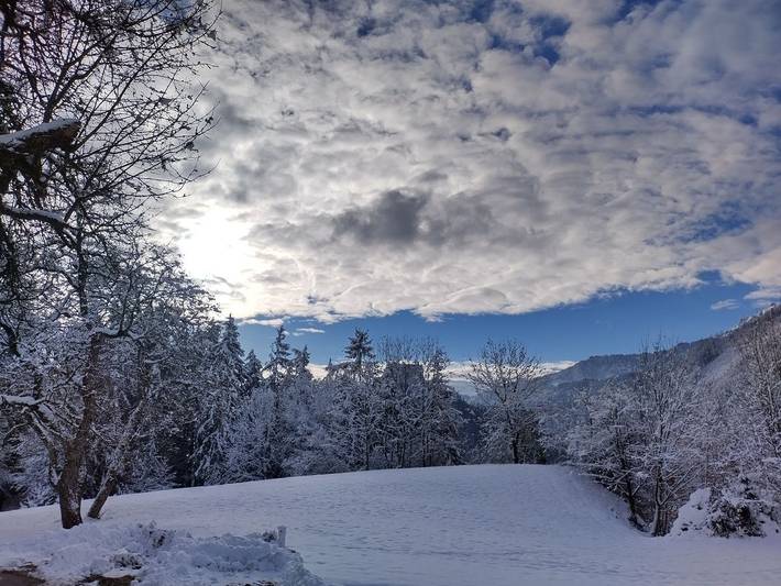 Ferienhaus für 6 Personen, mit Garten, kinderfreundlich in Österreich - 4