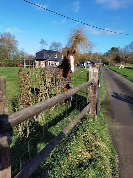 Location de vacances pour 3 personnes, avec jardin ainsi que vue et terrasse à Saint-Julien-sur-Calonne