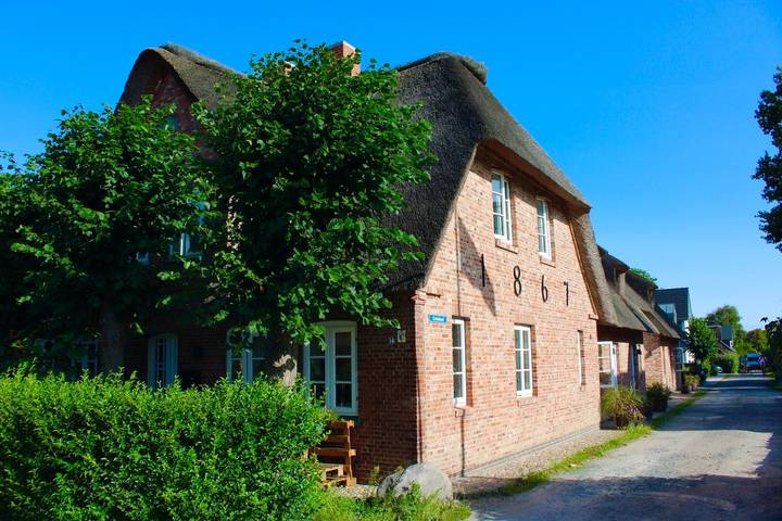 Haus Boldix Whg. 4 Cayman in Nordfriesische Inseln (Schleswig-Holstein) (Schleswig-Holstein), Wyk auf Föhr